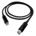 QNAP CAB-TBT20M cable Thunderbolt 1 m Negro (Espera 4 dias)