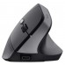 MOUSE TRUST WIRELESS ERGO BAYO II 25145 RF 2.4 GHz DPI