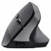 MOUSE TRUST WIRELESS ERGO BAYOII+ 25146