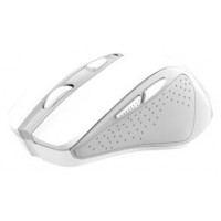 MOUSE TRUST WIRELESS NITO SILENCIOSO 5 BOTONES  BAT AA MOUSE TRUST WIRELESS NITO SILENCIOSO 5 BOTONES  BAT AA