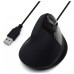 Ewent EW3157 Ratón óptico Vertical Usb 2.0