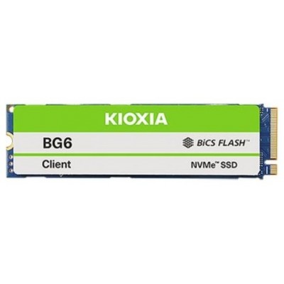 KIO-SSD BG60ZNV 256GB