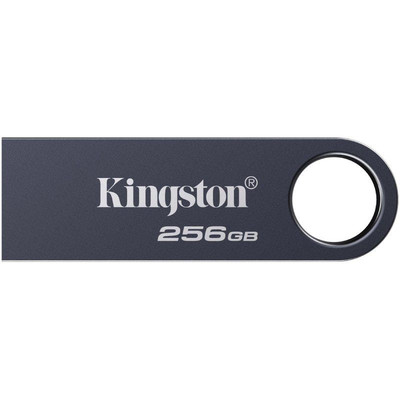 MEMORIA KINGSTON-JETFLASH SE9 G3 GY 256GB