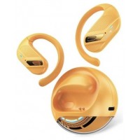 VEN-AUR NBUO0 VEN-AUR NBUO0